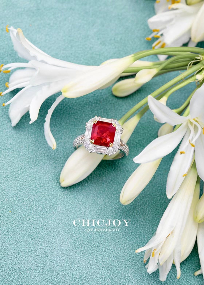 CHICJOY DESIGN ——【惊红一瞥】(图1)