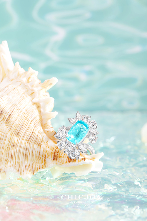 帕拉伊巴 -【活力海洋】(图1)